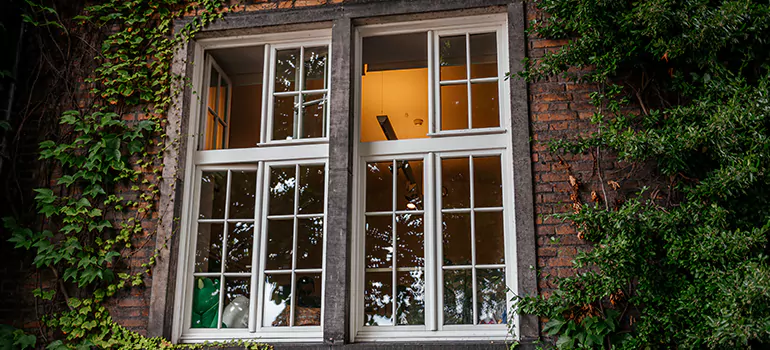 Energy Efficient Wood Windows in Bay Point, CA